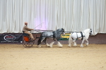 SBM_000626