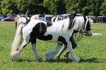 SIAL4270
