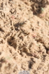 230915A-135634-00621