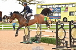 Cls 35 1.10m Amateur Quali portfolio
