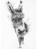 "DONKEY"