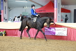 SBM_13541