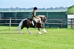 SBM_11394