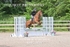 BPP_1837