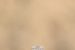 240323A-093350-00982
