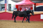 SBM_15974