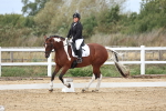 SBM_003854