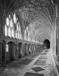 1054 - Gloucester Cathedral - The Cloisters