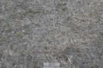 250823A-190224-34671