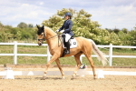 SBM_002987