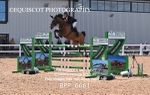 BPP_6661
