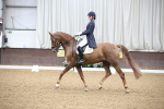SBM_004354
