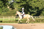 SBM_15454