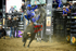 3HRodeo_PBR_TEAMS_JUL_2026_0502