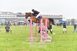 BPP_6835