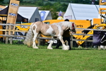 SBM_10137