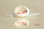 Egg