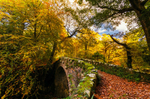 Build A Bridge
