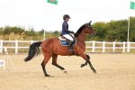 SBM_006822