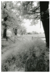 Nettles Fence House