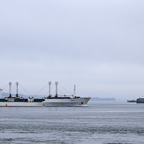 The Windfrost refrigerated cargo ship passes through the Old Sow Tidal Whirlpool location with the tip of Eastport, M…