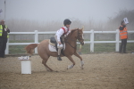SBM_000953