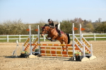SBM_000217