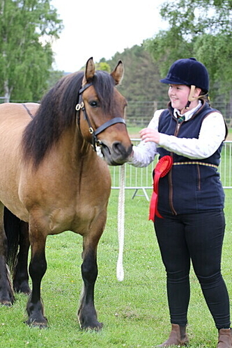 Crathes Charity Horse & Dog Show 2026