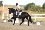 SBM_008586