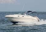 090808 DALLIANCE IMG_5645