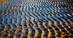 Holkham 11
