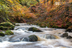 Afon Clywedog, late Autumn