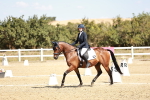 SBM_018034