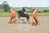 BPP_9907