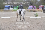 BPP_8797