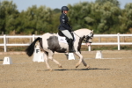 SBM_012719