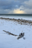Hudson Bay shoreline in winter, stormy sky