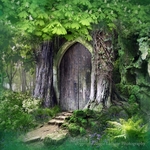 Temple in the Forest
