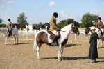 SBM_03241