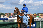 Race 4 3.20pm Ward Homes Yorkshire Handicap portfolio