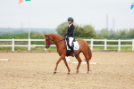 SBM_005200