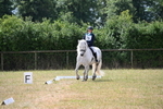 WJ6_3352