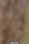 231104A-151840-01011