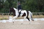 British Dressage portfolio