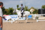SBM_03970