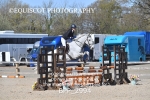 BPP_2994