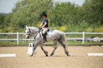 SBM_009554