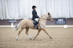 SBM_008023