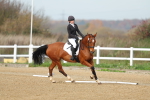 SBM_003403