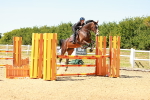 SBM_006993